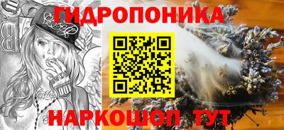 СК Будённовск