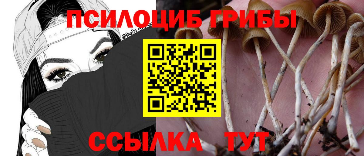 Псилоцибиновые грибы Psilocybine cubensis  Вход с VPN  Рязань 